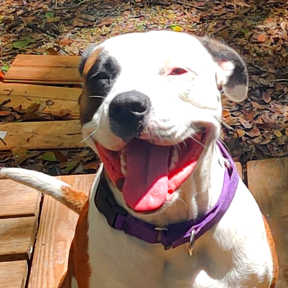 More listings coming soon!